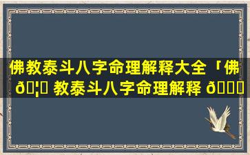 佛教泰斗八字命理解释大全「佛 🦈 教泰斗八字命理解释 🐅 大全视频」